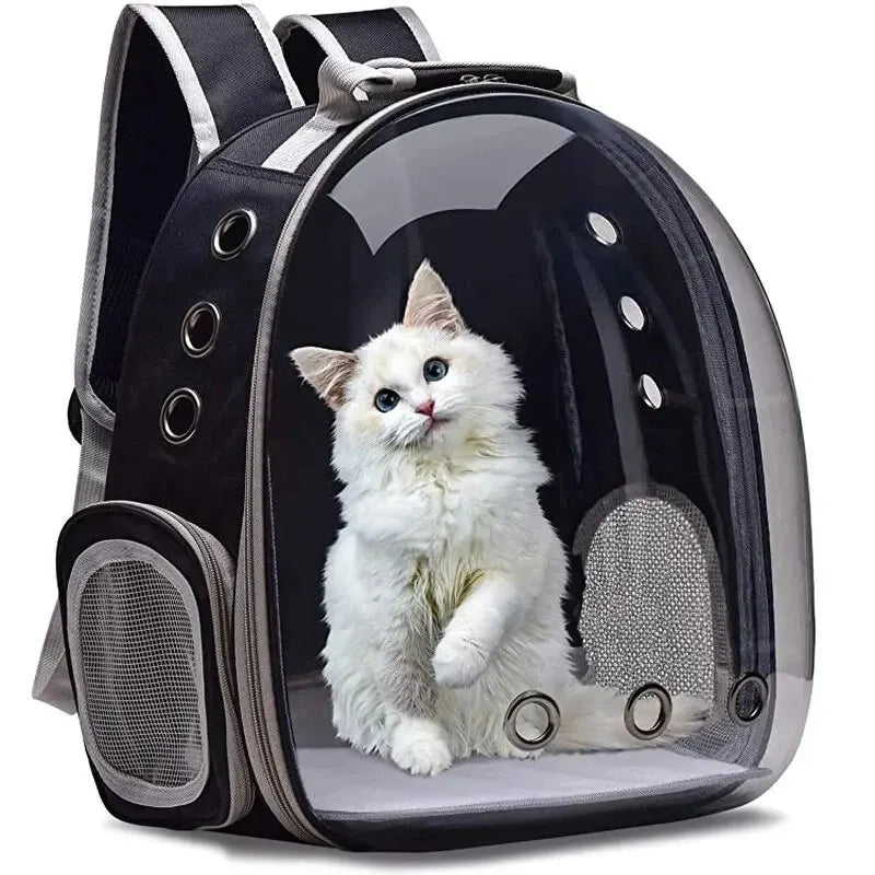 Pet Backpack Carrier: What Pet Owners Should Know