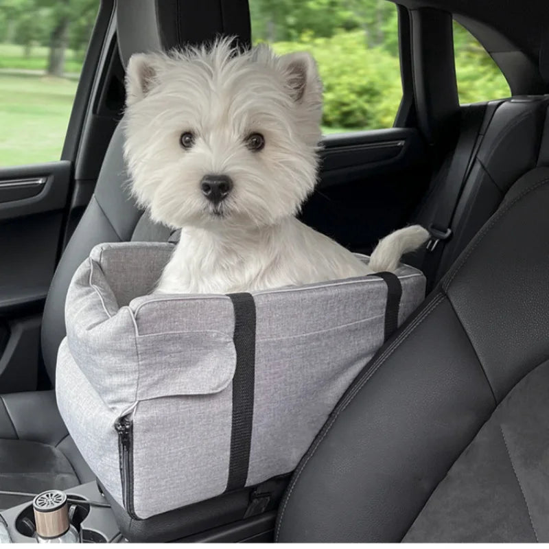 Pet Car Seat: What Pet Owners Should Know