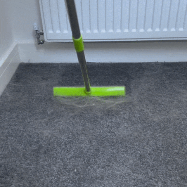 Pet Hair Remover Broom