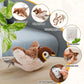 Bird Chase - For Cats