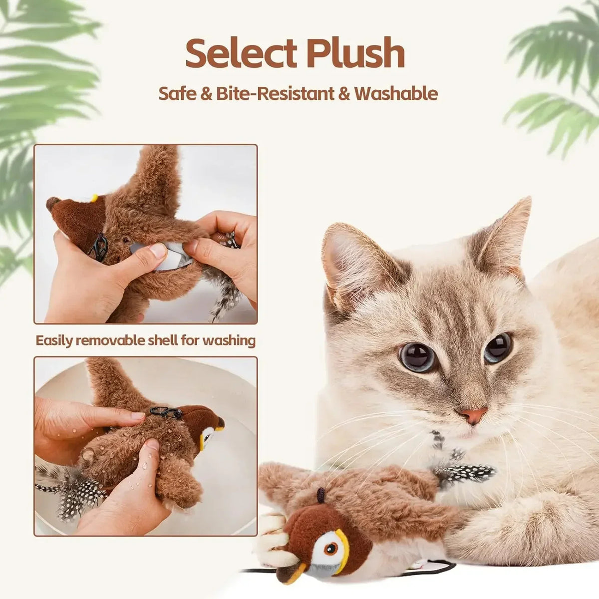 Bird Chase - For Cats