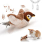 Bird Chase