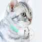 Smart Laser Tease Cat Collar