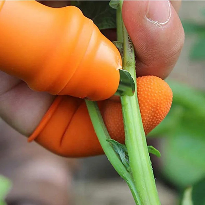 Picking Vegetable Thumb Knife