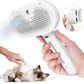 Pet Water Steam Spray Grooming Comb