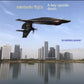 Rc Plane New H650 Raptor Waterproof Aircraft