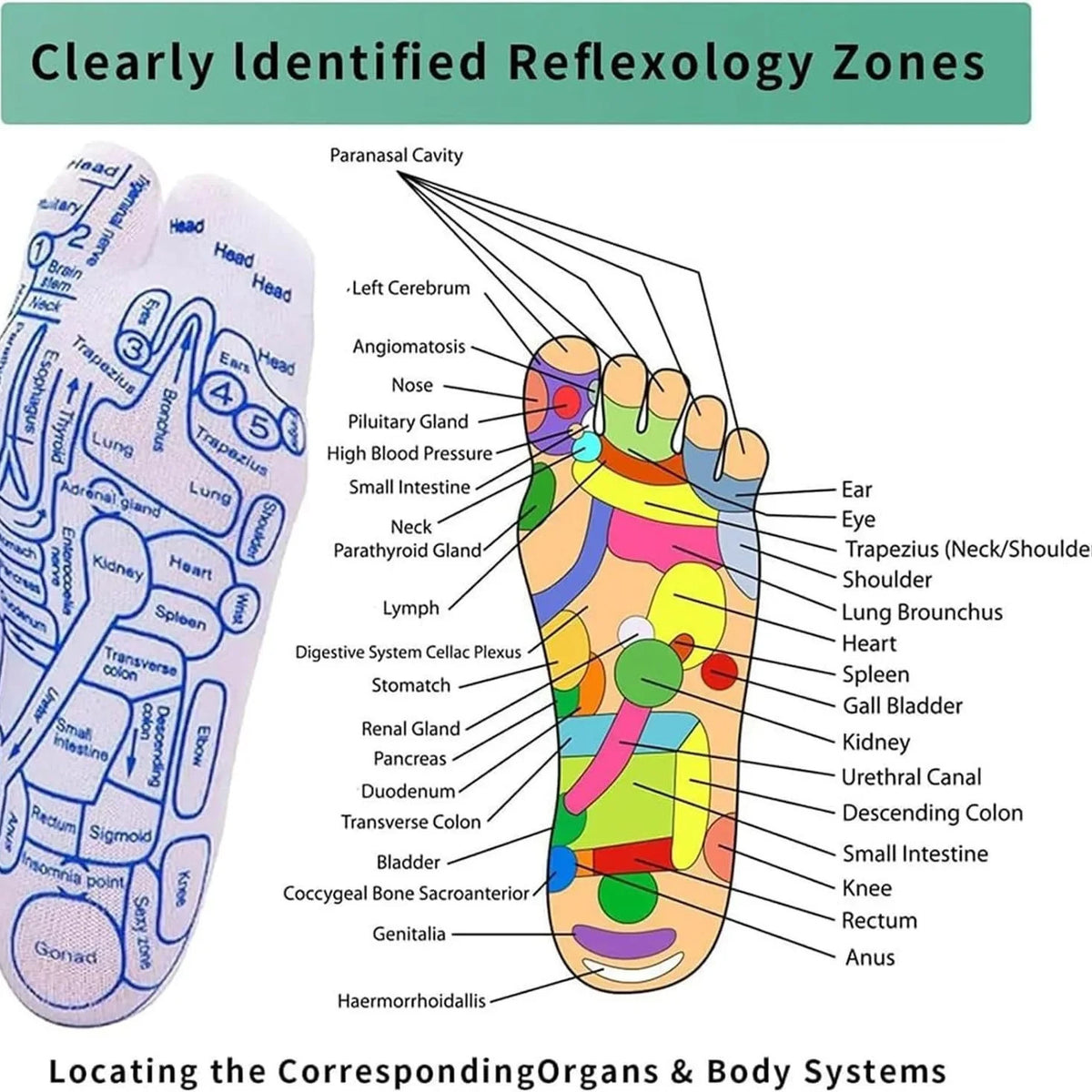 Acupressure Reflexology Socks