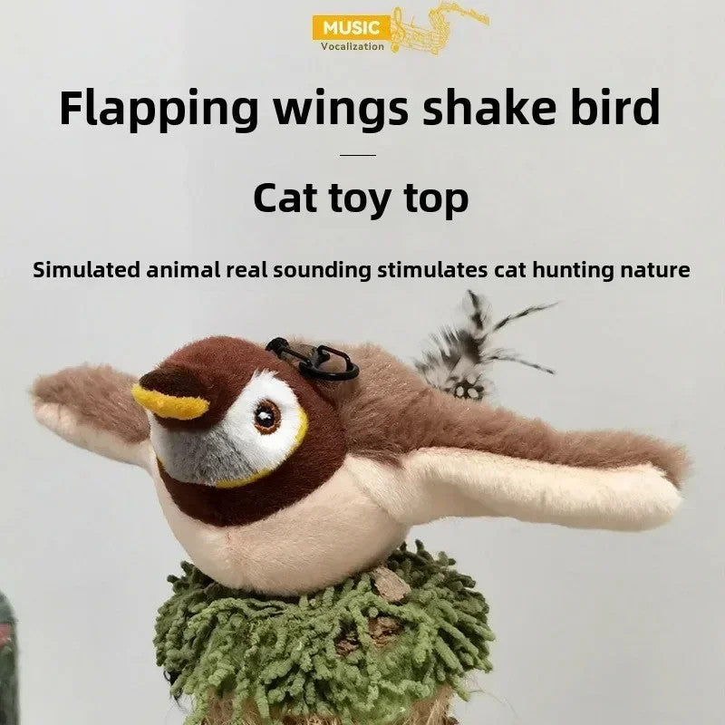 chase Bird