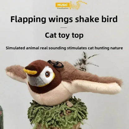 chase Bird