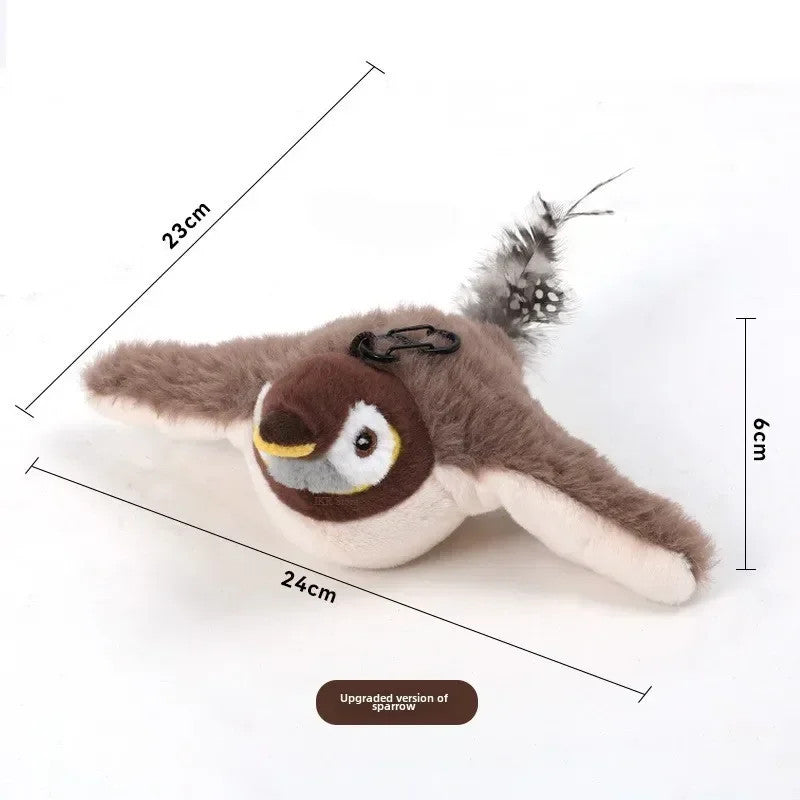 chase Bird