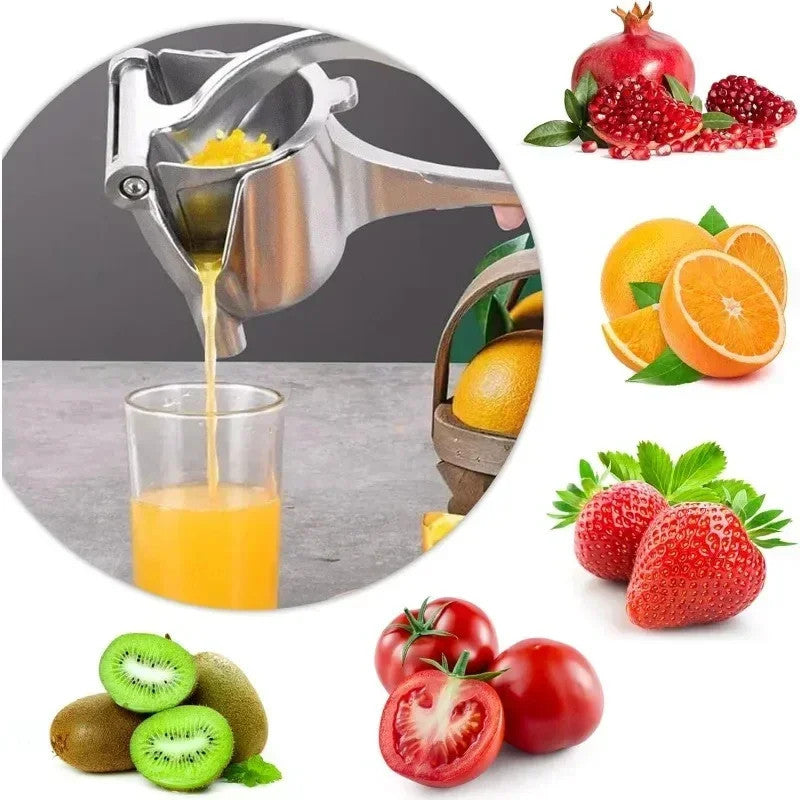 Stainless Steel Fruits Juicer Squeezer