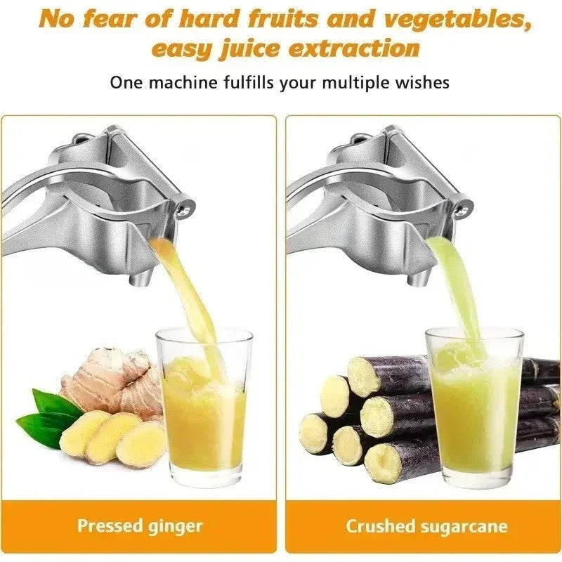 Stainless Steel Fruits Juicer Squeezer