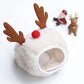 Holiday Pet Outfit