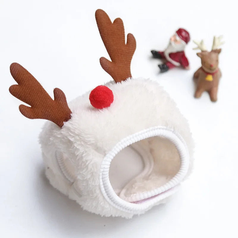 Holiday Pet Outfit