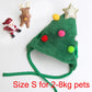 Holiday Pet Outfit