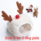 Holiday Pet Outfit