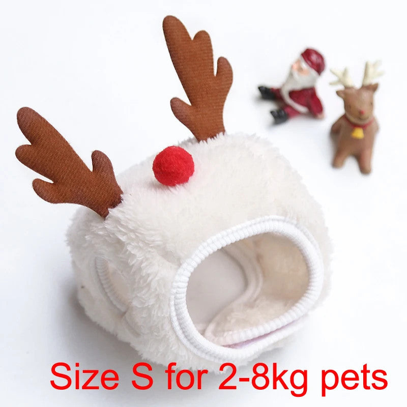 Holiday Pet Outfit