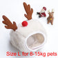 Holiday Pet Outfit