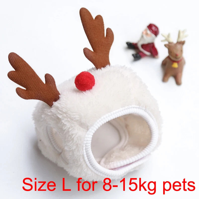 Holiday Pet Outfit
