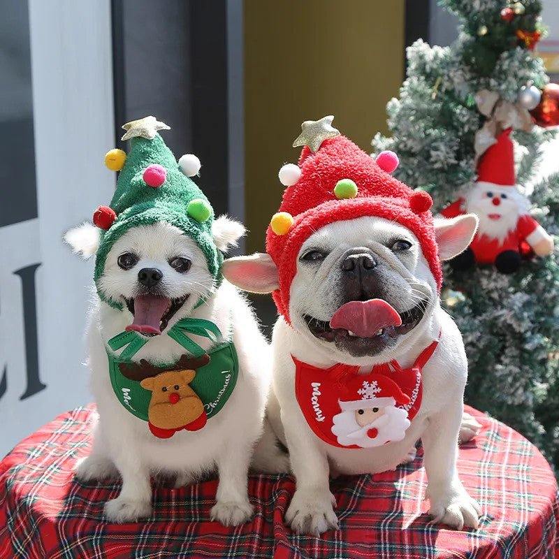 Holiday Pet Outfit