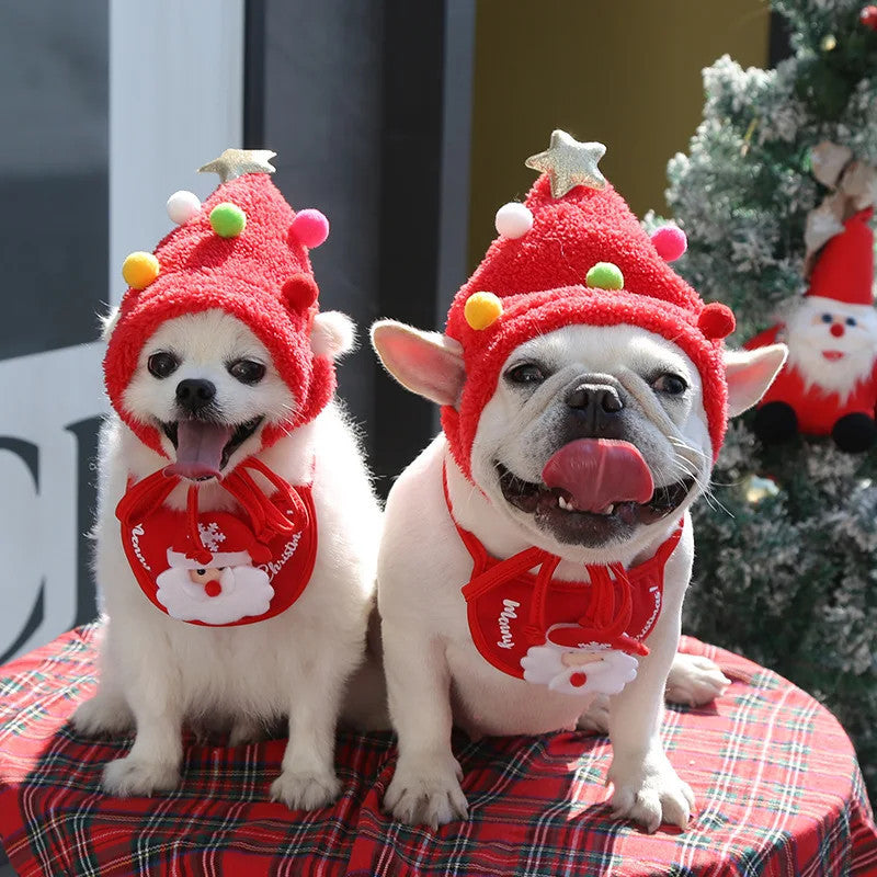 Holiday Pet Outfit