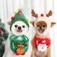 Holiday Pet Outfit