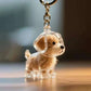 Pet Hair Memory Keyring