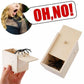 Trick Spider Funny Scare Box