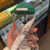 BearSip™ Glass Mug
