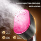 Professional Handheld Garment Steamer