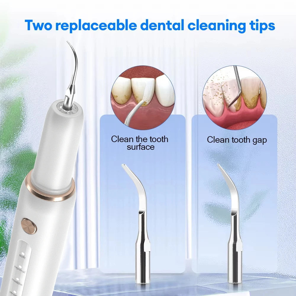 Electric Ultrasonic Dental Scaler Stain Removal