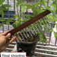 3pcs wooden new multifunctional hook hanger