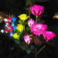 5 Heads Solar Lights Rose Flower