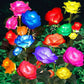 5 Heads Solar Lights Rose Flower
