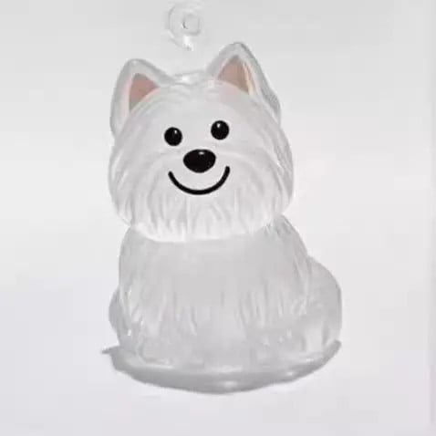 Eternal Bond | Pet Fur Memorial Capsule Keychain