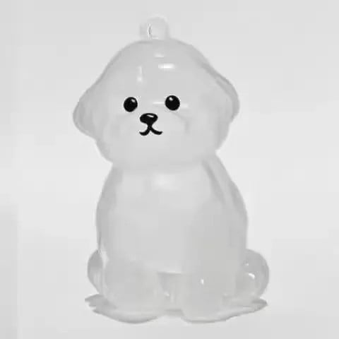 Eternal Bond | Pet Fur Memorial Capsule Keychain