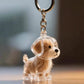 Eternal Bond | Pet Fur Memorial Capsule Keychain