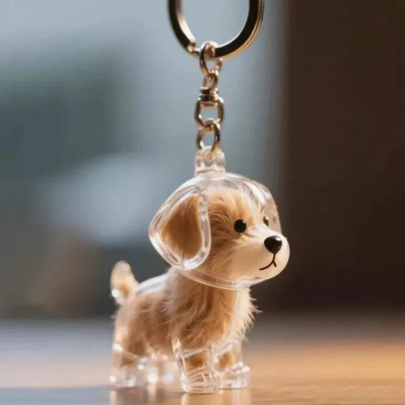 Eternal Bond | Pet Fur Memorial Capsule Keychain
