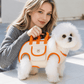 Pet Comfort Harness Set