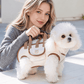 Pet Comfort Harness Set