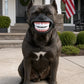 Funny Dog Teeth Muzzle