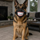 Funny Dog Teeth Muzzle