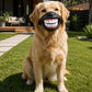 Funny Dog Teeth Muzzle