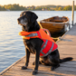 Pet Safety Vest