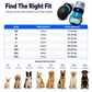 LED Dog Boots