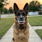 Fang Dog Muzzle