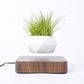 Levitating Floating Plant Pot / Lamp - view 1