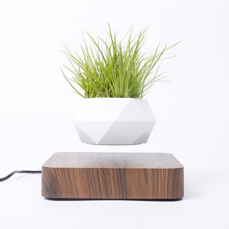 Levitating Floating Plant Pot / Lamp - view 1
