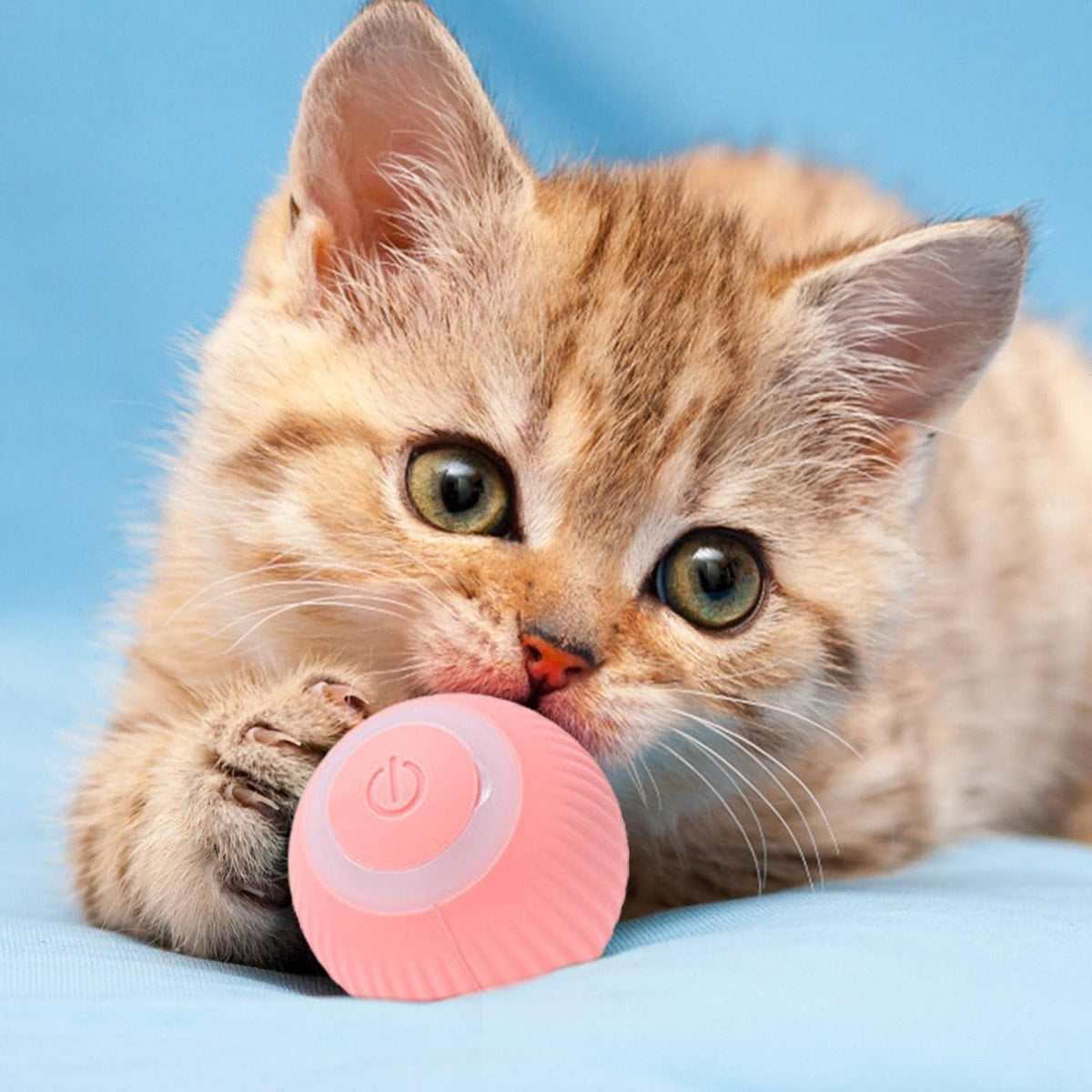 Smart USB Electric Rolling Pet Ball - view 1