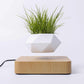 Levitating Floating Plant Pot / Lamp - view 2